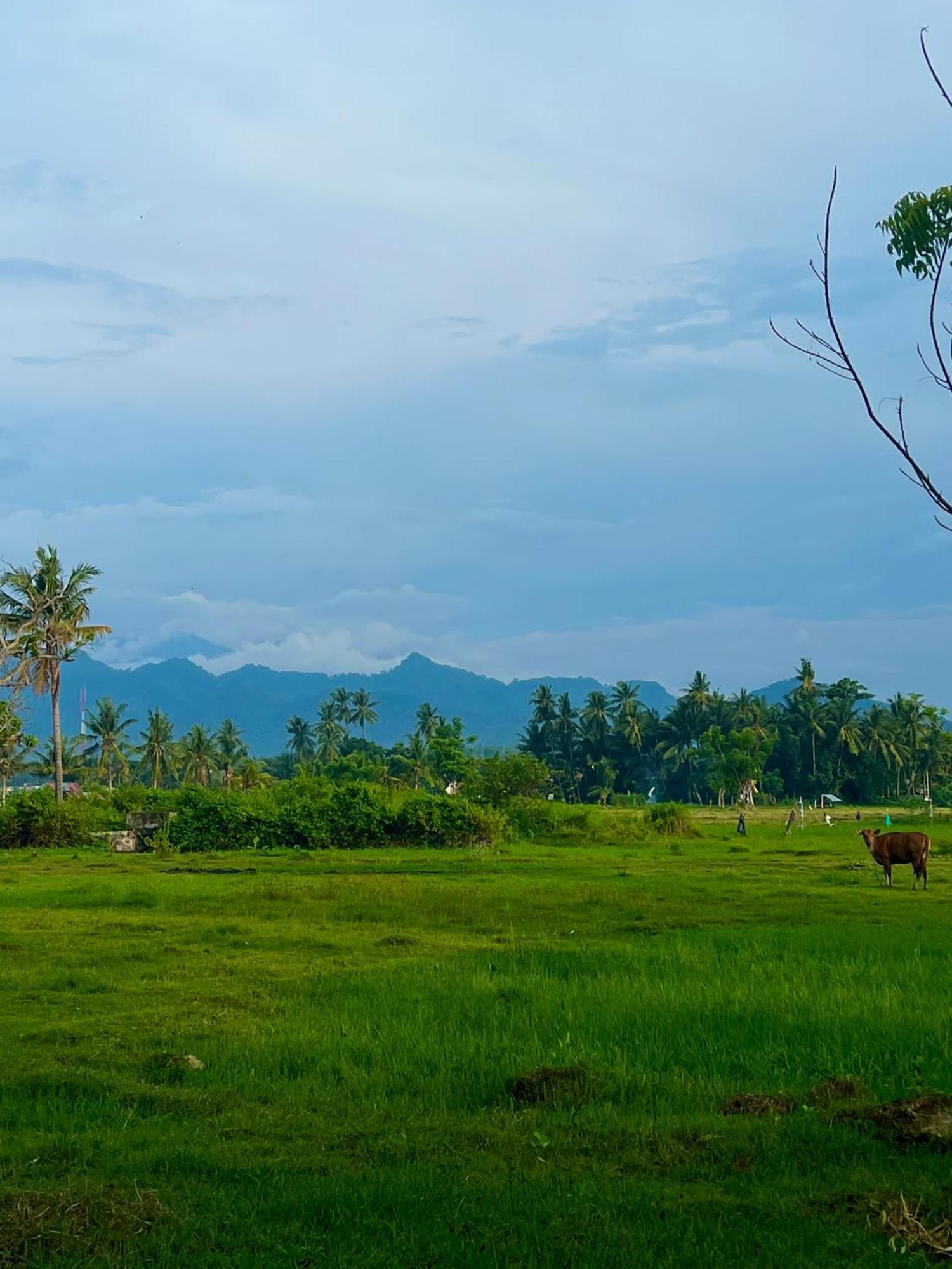 Rinjani Beach Eco Resort Tanjung  Esterno foto