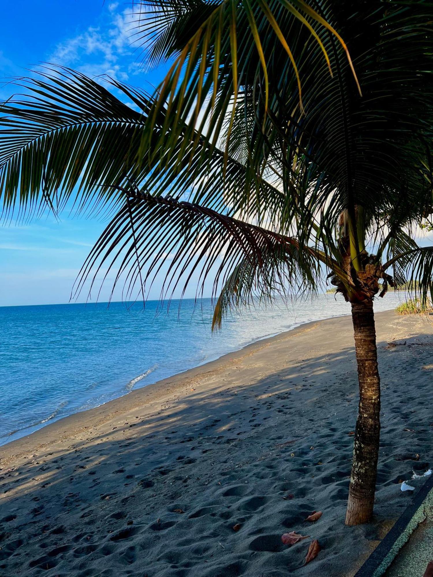 Rinjani Beach Eco Resort Tanjung  Esterno foto